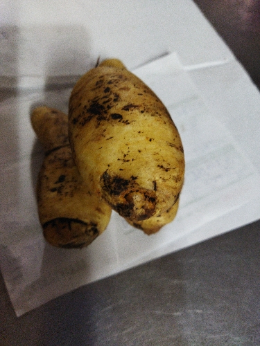 Arracacha libra 500 gr