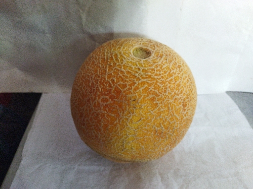 Melon