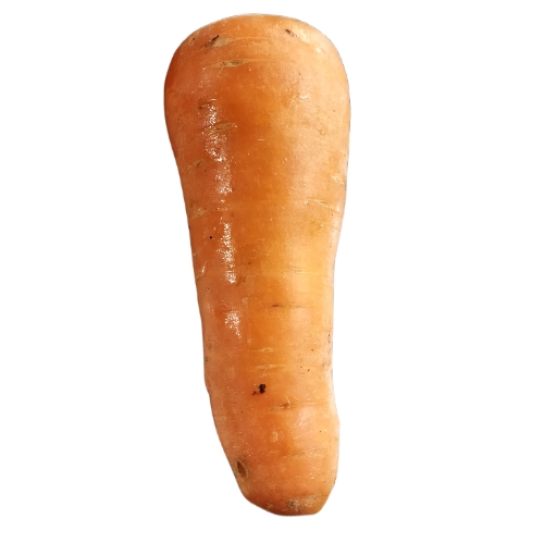 Zanahoria fresca