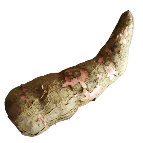 Yuca