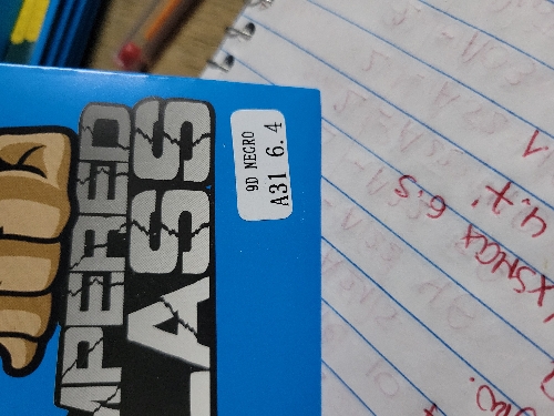 MICAS COMPLETAS A31 6.4