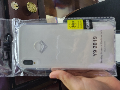 PROTECTOR TRANSPARENTE Y9 2019