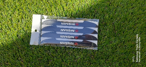 Protector de puerta nissan