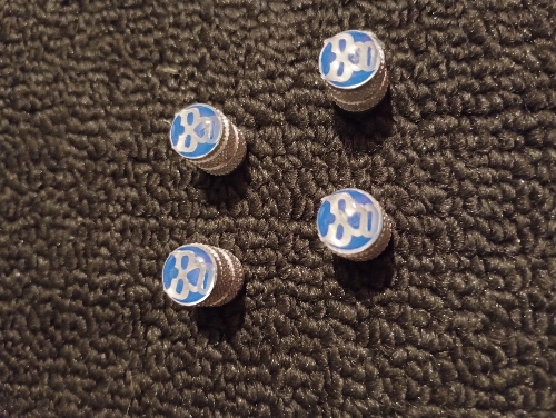 Tapon de pivote blue demon