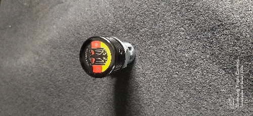 Chapa guantera aguila
