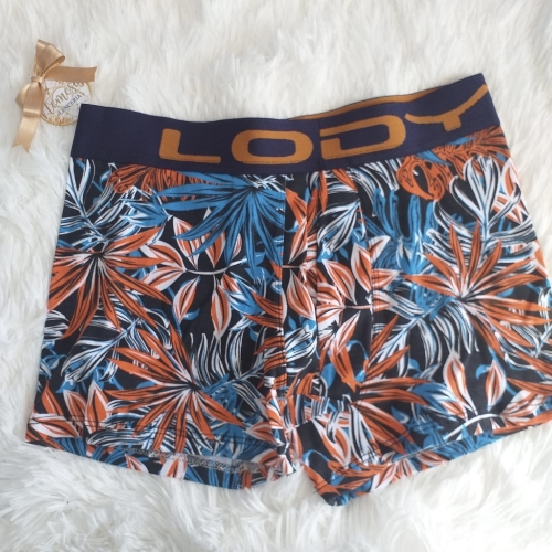 Boxer lody