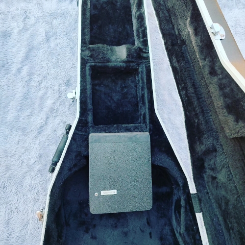 Case violão