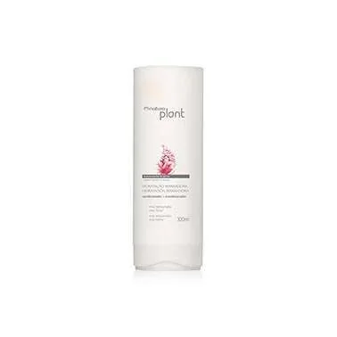 PLANT CONDICIONADOR HIDRAT REPAR 300ML