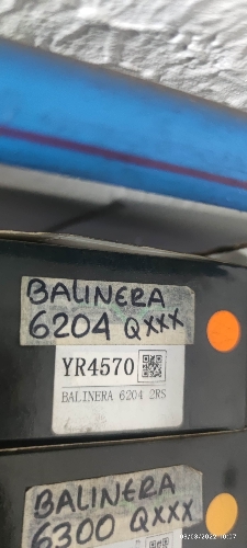Balinera revo económica,