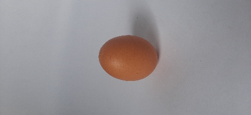 Huevo tipo A