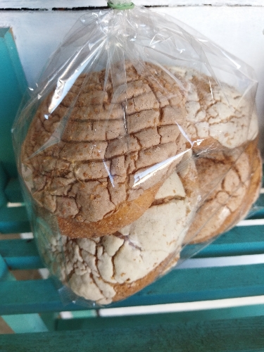 Conchas integrales