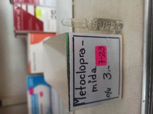METROCLOPRAMIDA 10MG/2ML