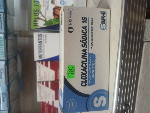 CLOXACILINA SODICA 1 GR