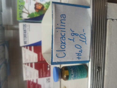 CLOXACILINA 1G