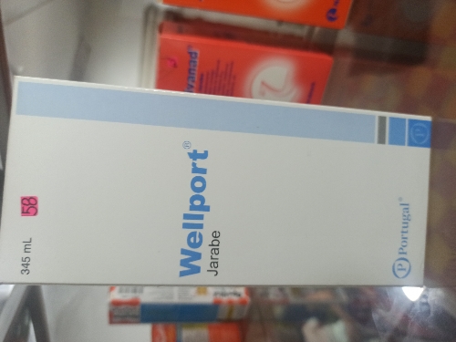 WELLPORT JARABE X 345ml(INTI)