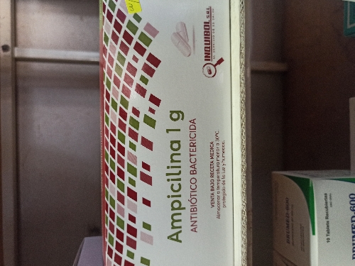 AMPICILINA 1 GR(INQUIBOL)