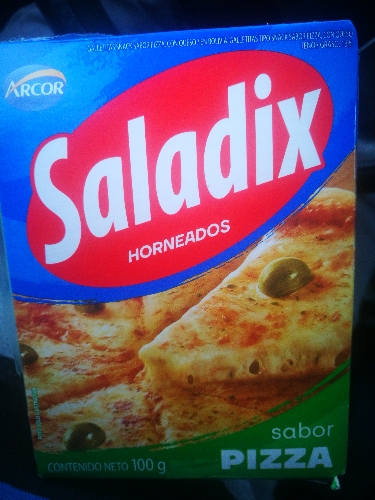 galletas SALADIX horneados 100g