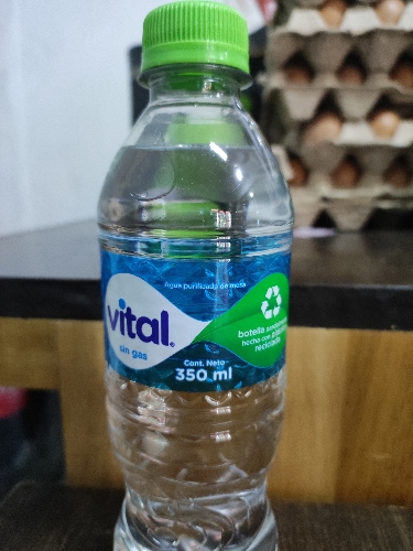 Agua VITAL 350ml