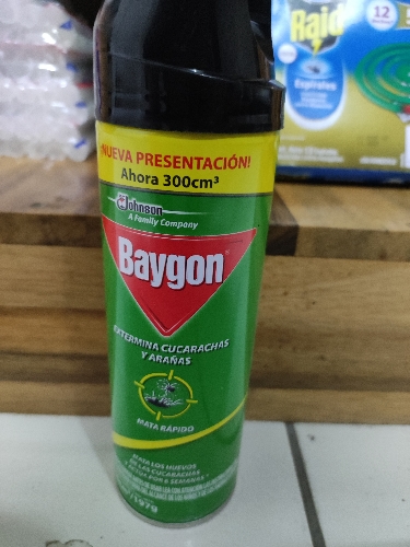 Insecticida BAYGON 197g