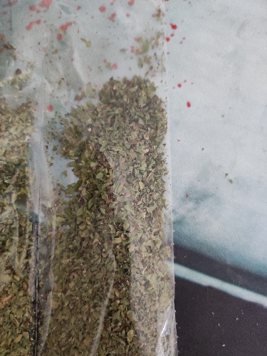 Oregano caserito