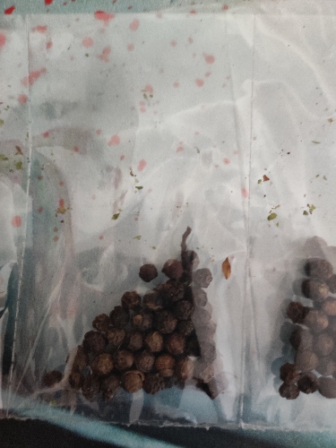Pimienta en grano picante