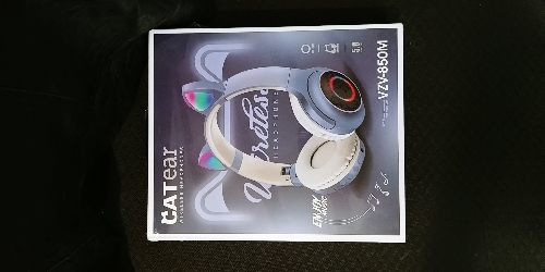 Cat ear BT Headphones VZV-850M