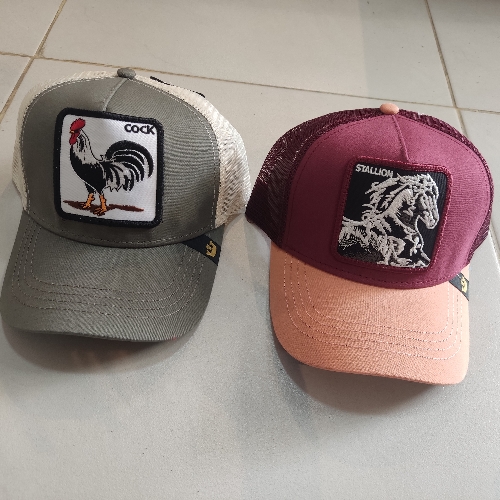 Gorra animales (126)