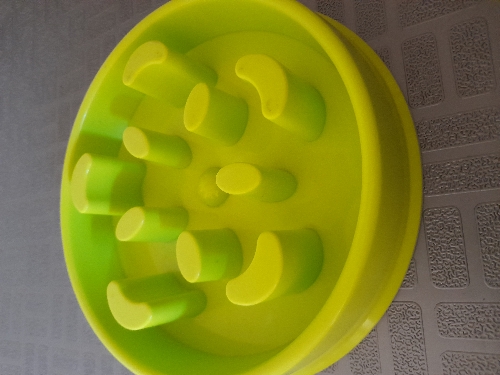 Plato perro ancioso