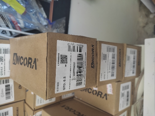PARAFUSO GN35 PB ÂNCORA CX