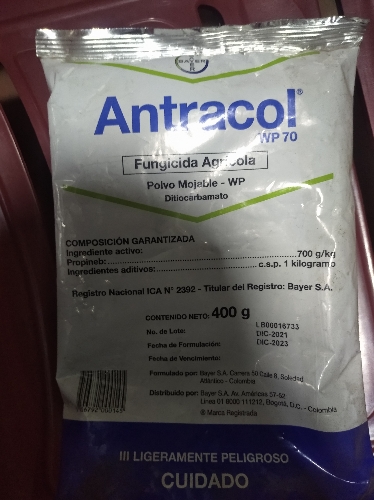Antracol