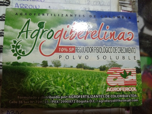 Agrogiberlina