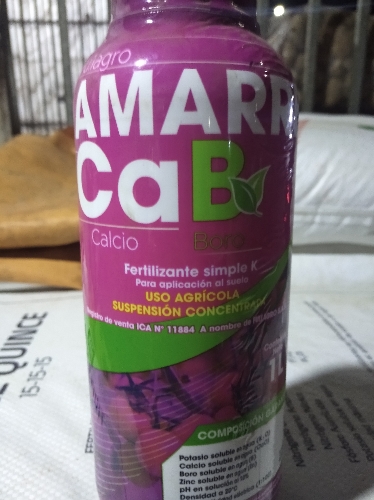 Amarre calcio boro