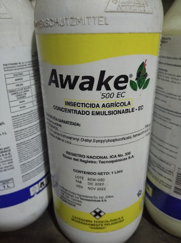 Awake