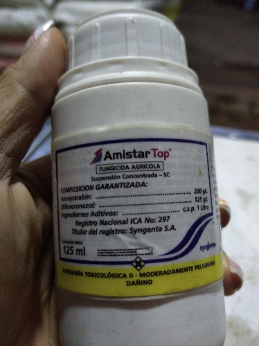 Amistar 125 ml cc
