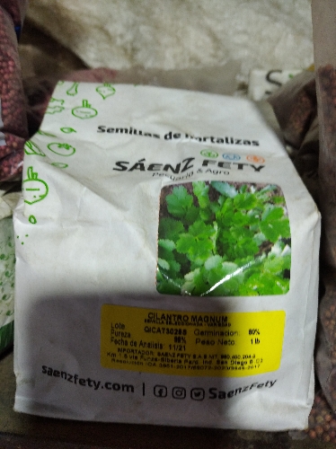Cilantro magnu