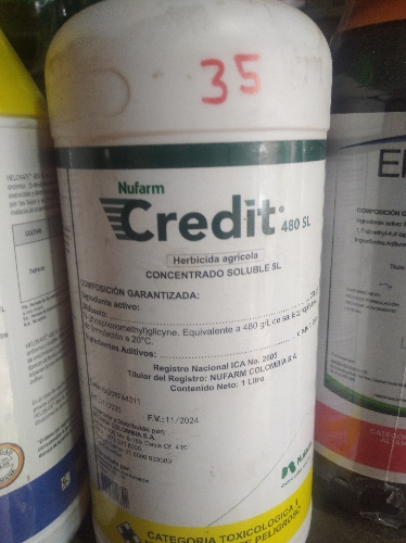 Credit