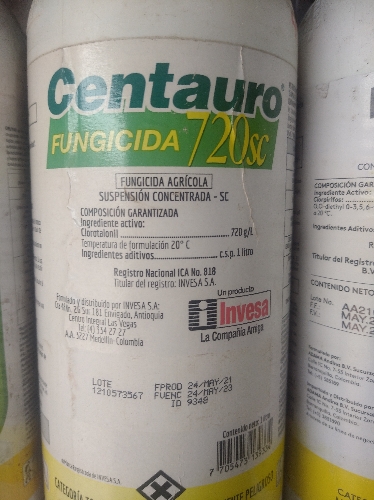 Centauro