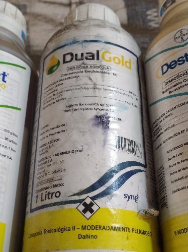 Dual gold
