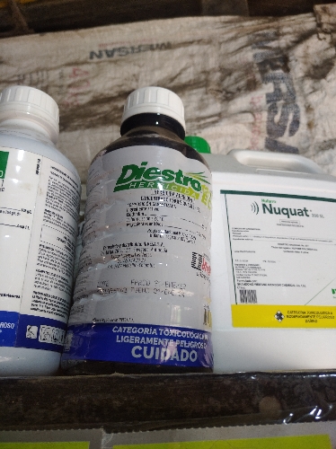 Diestro