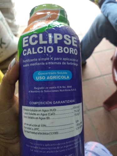 Eclipse calcio boro
