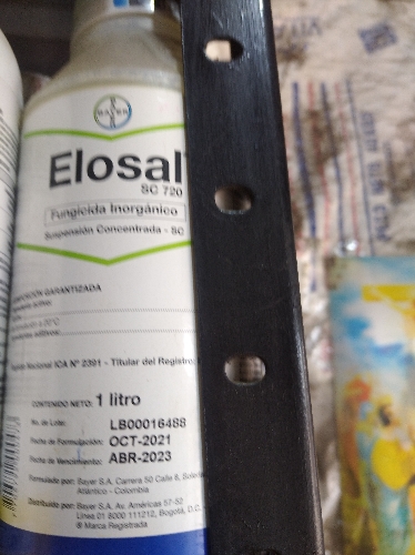 Elosal