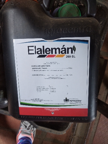 Elaleman de galon
