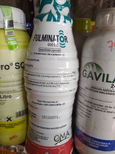 Fulminator
