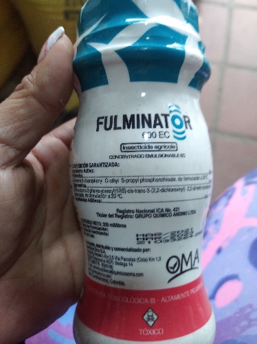 Fulminator 250cc