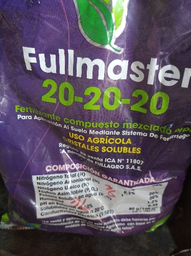 Full máster