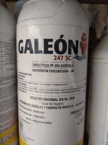 Galeón