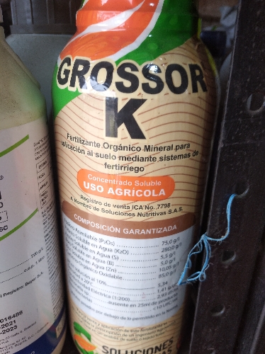 Grossor k