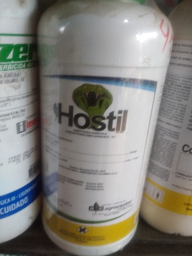 Hostil