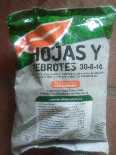 Hojas y rebrote
