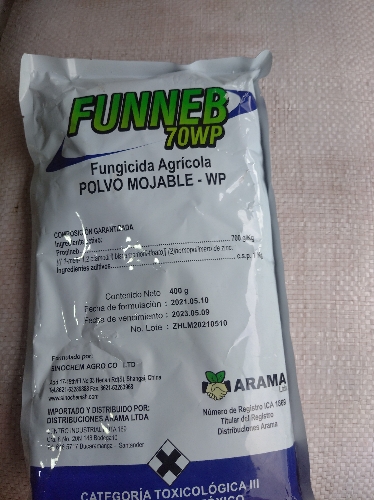 Funneb